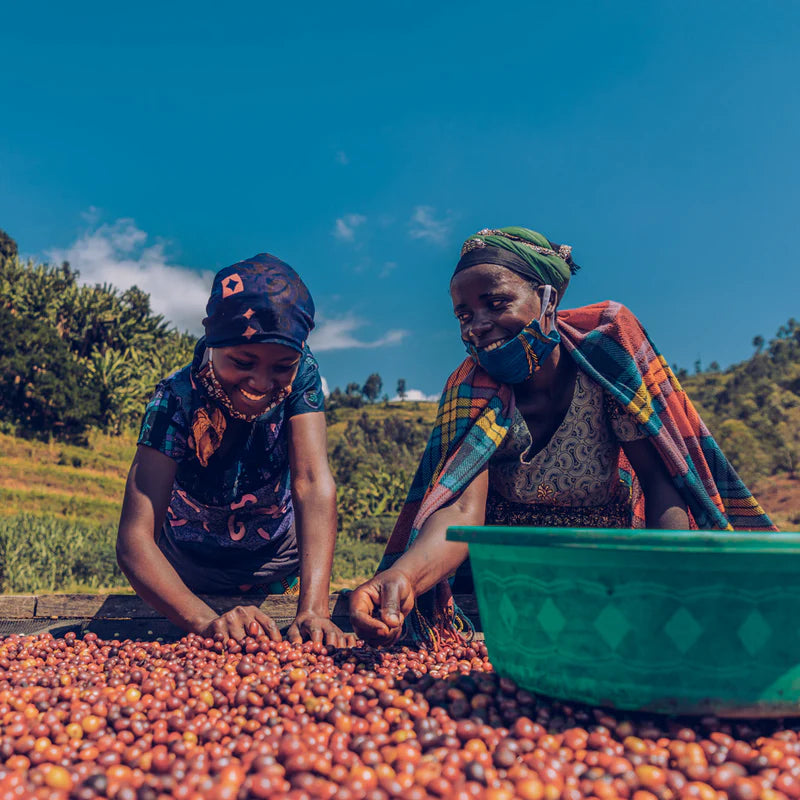 Rwanda Nyamasheke Muhororo