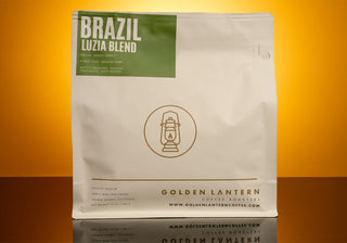 Brazil Luzia