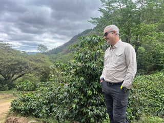 Guatemala Finca El Socorro Gesha