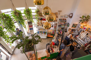 Interior of Gitana coffee shop in Hermosa Beach, CA with plants, product shelves, and people ordering coffee.