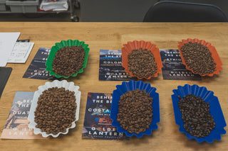 Coffee beans roasted at different levels in colorful paper cups with descriptions of their origins in the roastery room.