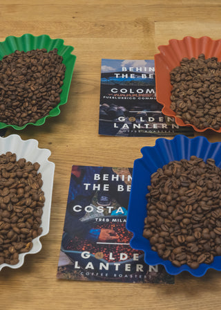 Coffee beans roasted at different levels in colorful paper cups with descriptions of their origins in the roastery room.