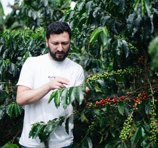 Colombia Finca Capri Gesha Competition Bioreactor Fermented
