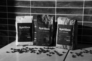Spiritbox Brewnami Sea Coffee Box Set