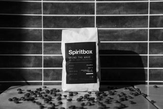 Spiritbox Brewnami Sea Coffee Box Set