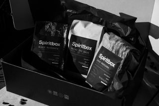 Spiritbox Brewnami Sea Coffee Box Set