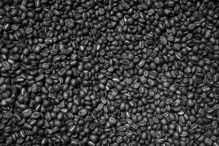 Spiritbox Brewnami Sea Coffee Box Set