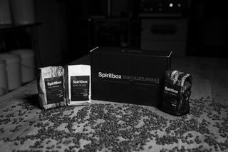 Spiritbox Brewnami Sea Coffee Box Set