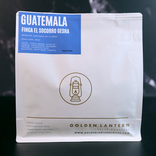 Guatemala Finca El Socorro Gesha