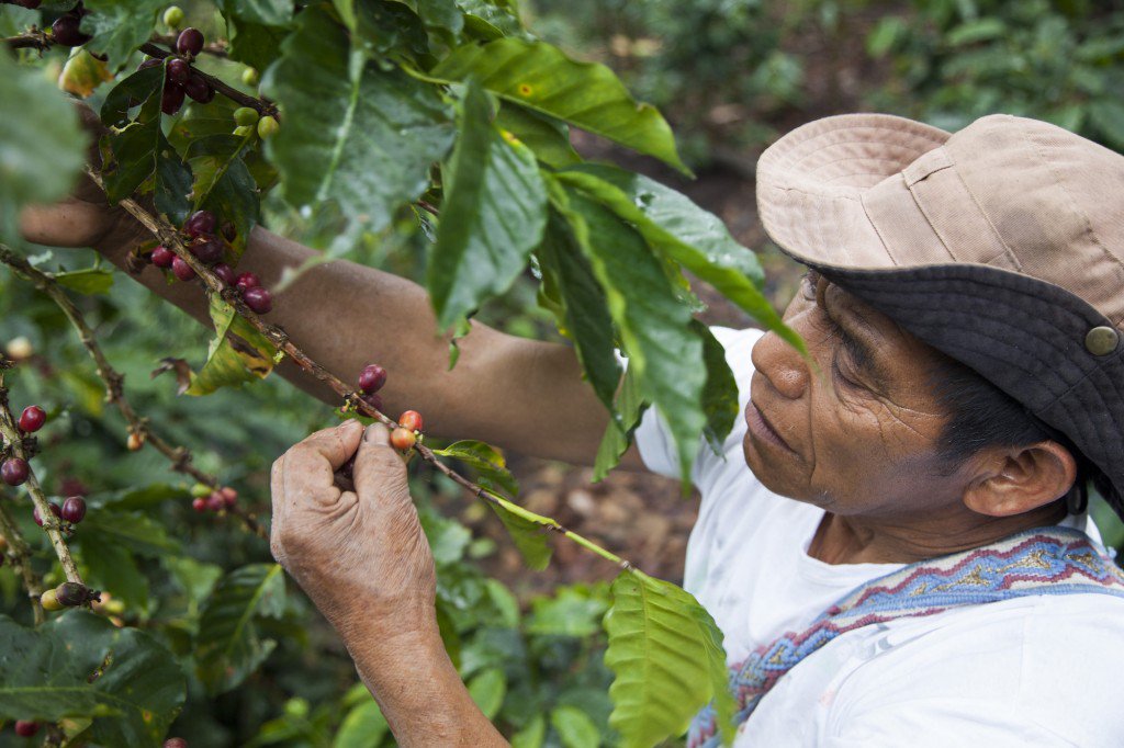 Mexico Chiapas Kulaktik