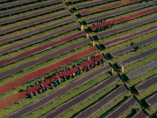 Ethiopia Faysel Abdosh Karamo Anaerobic Natural